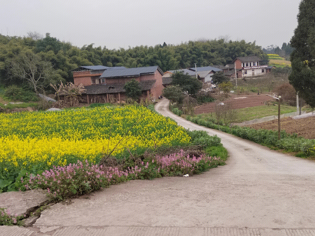 乡村美景宁静致远