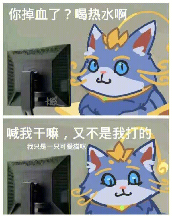 猫咪你是我的神