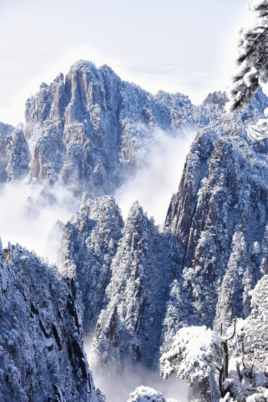 黄山冬雪