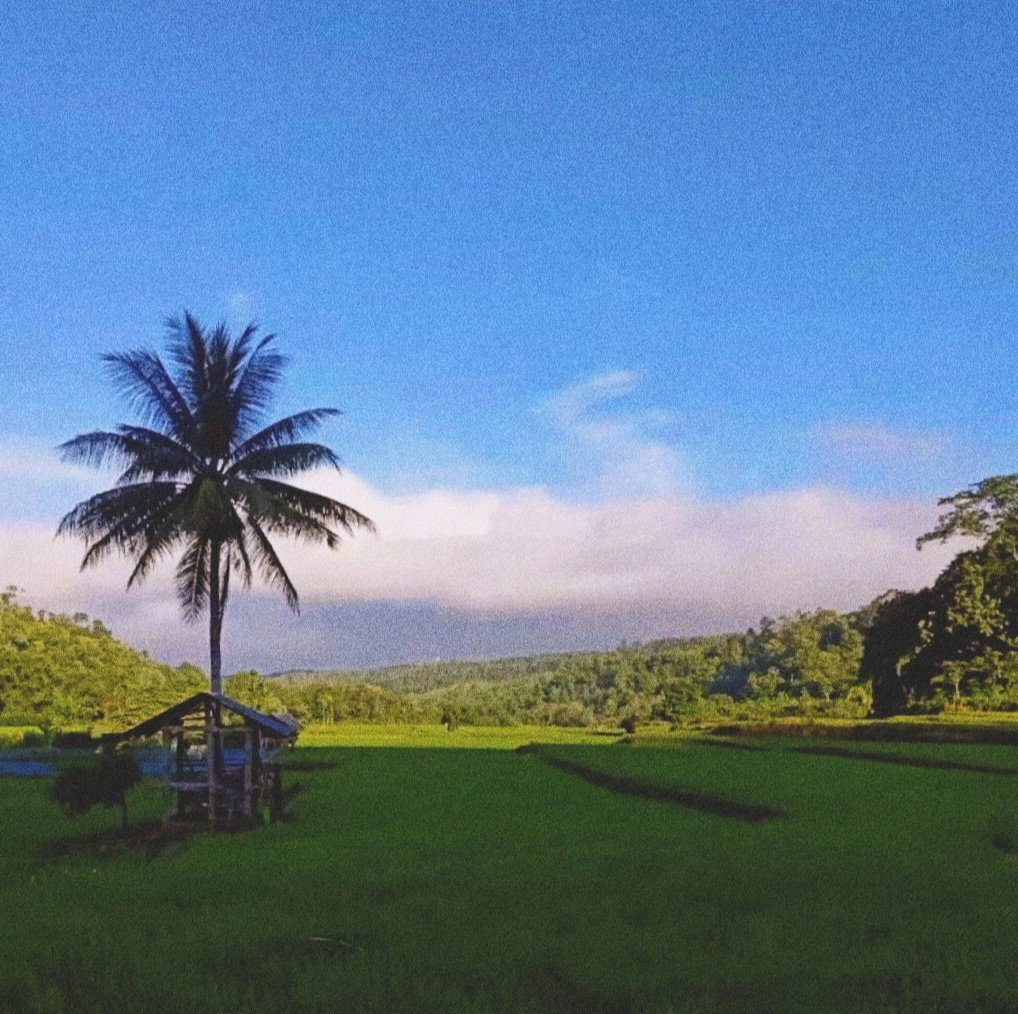 泰国乡村