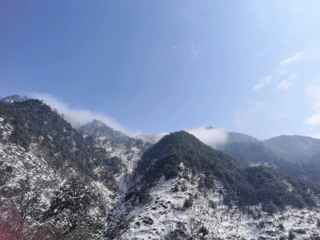 下雪天的大山里,好寂静好寂静#最美下雪天#雪天.