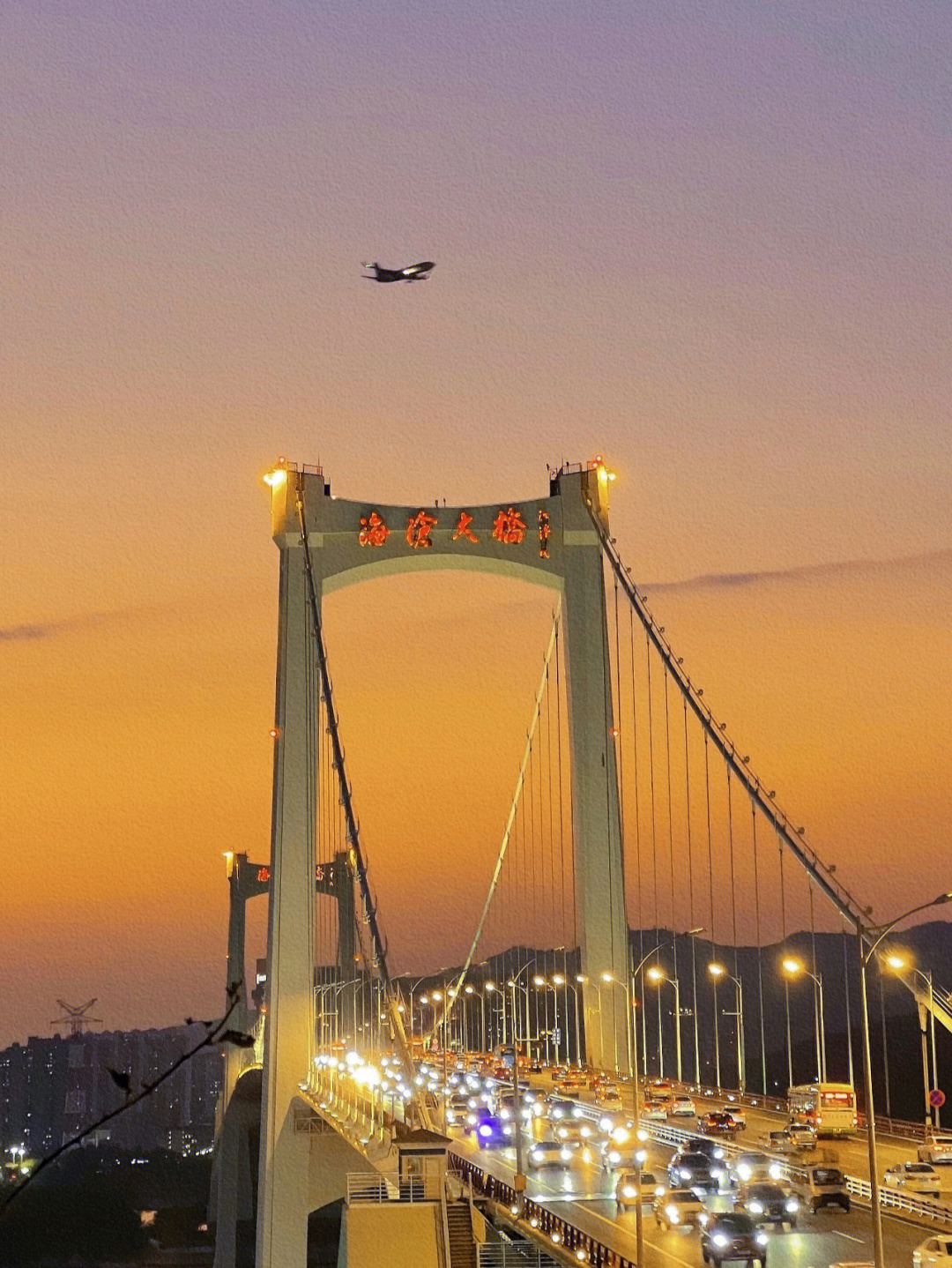 海沧大桥显得格外浪漫治愈,时不时还有飞机飞过哦~91位置:厦门东渡
