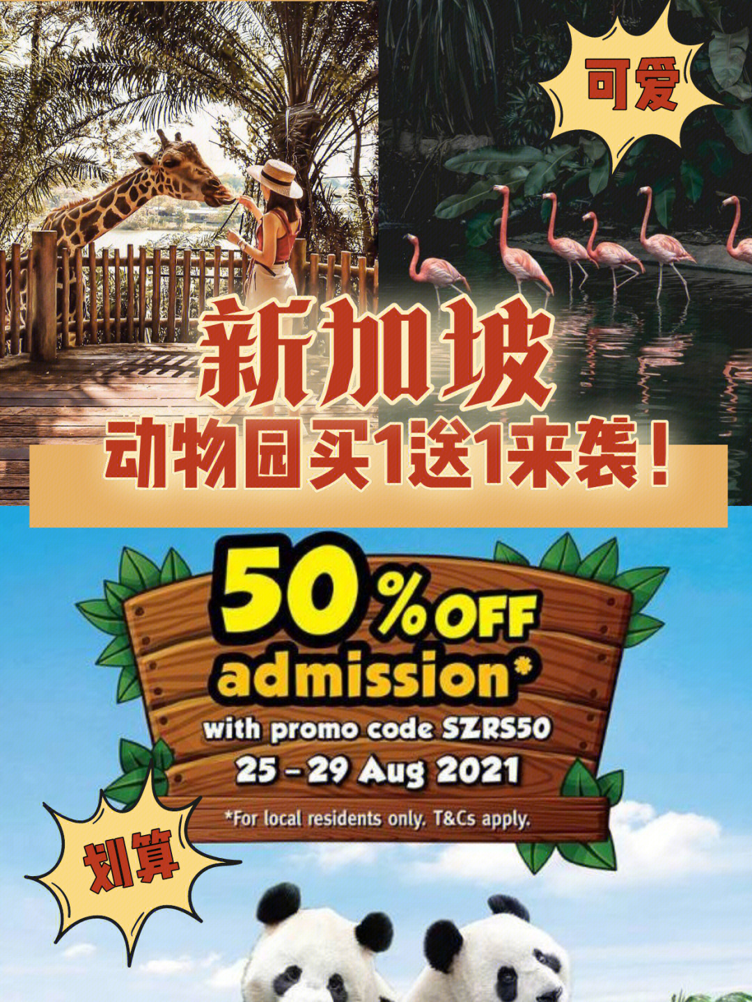 56615折门票91新加坡动物园和河川生态园都适用,可能还会看到