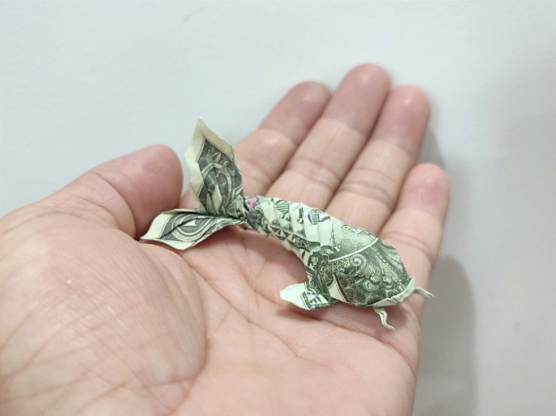 美元折纸欣赏锦鲤