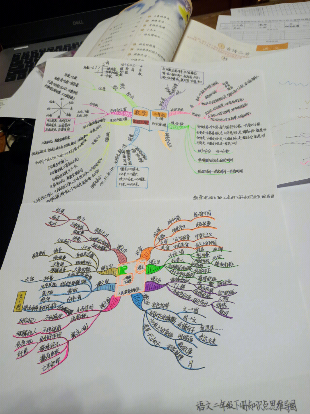 新学期新打算思维导图图片