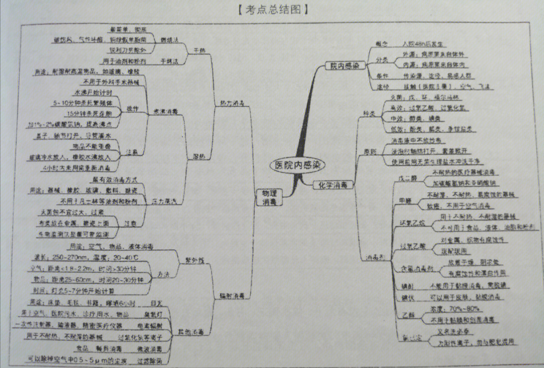 纽曼护理理论模式图图片