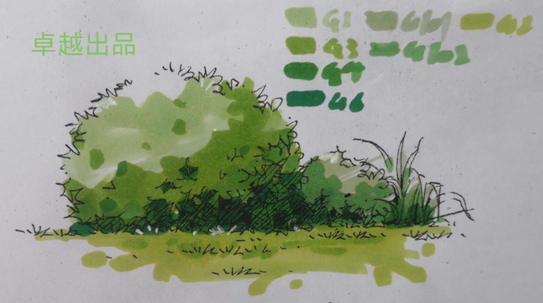 水彩灌木丛的画法图片