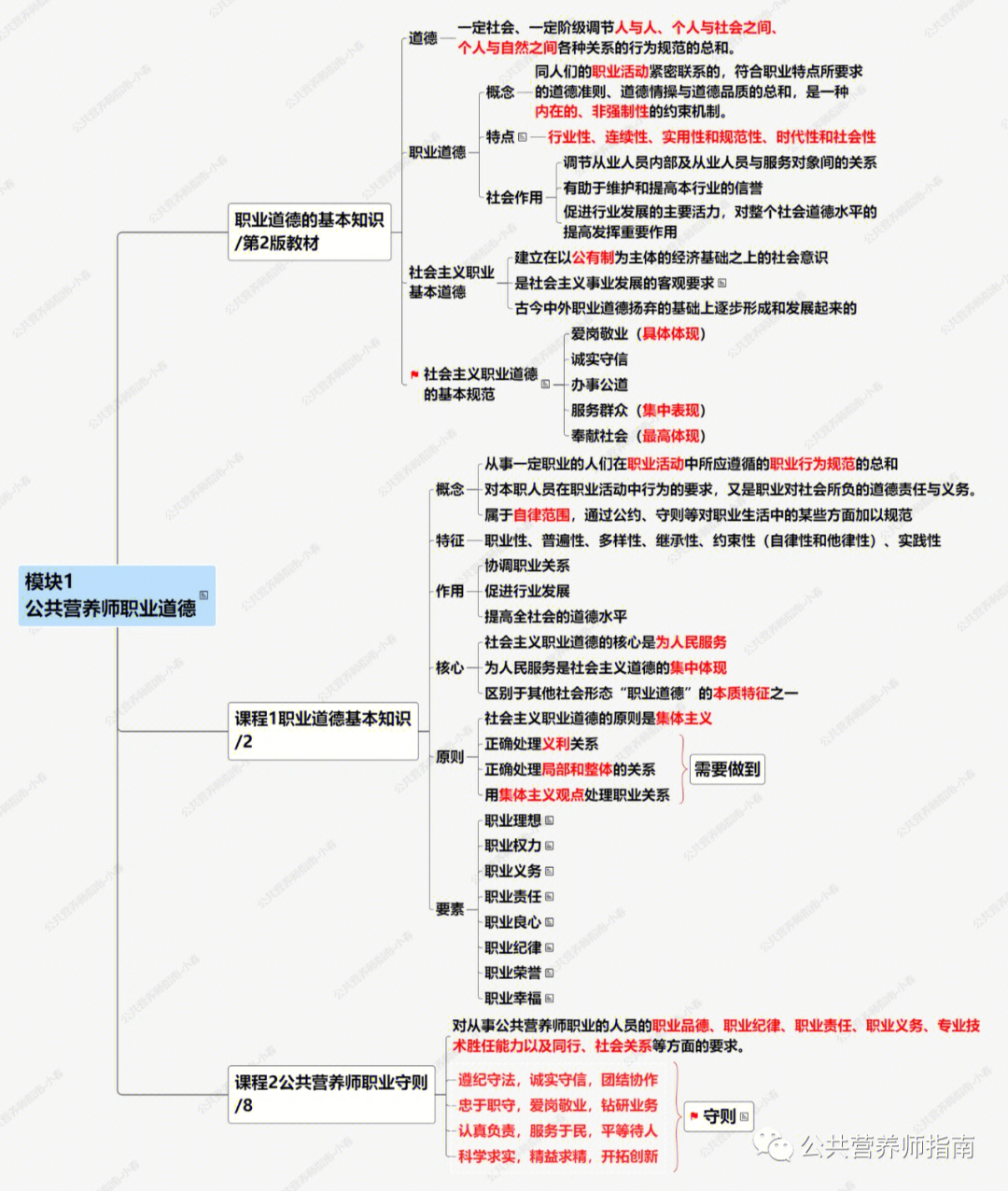 营养器官根的思维导图图片