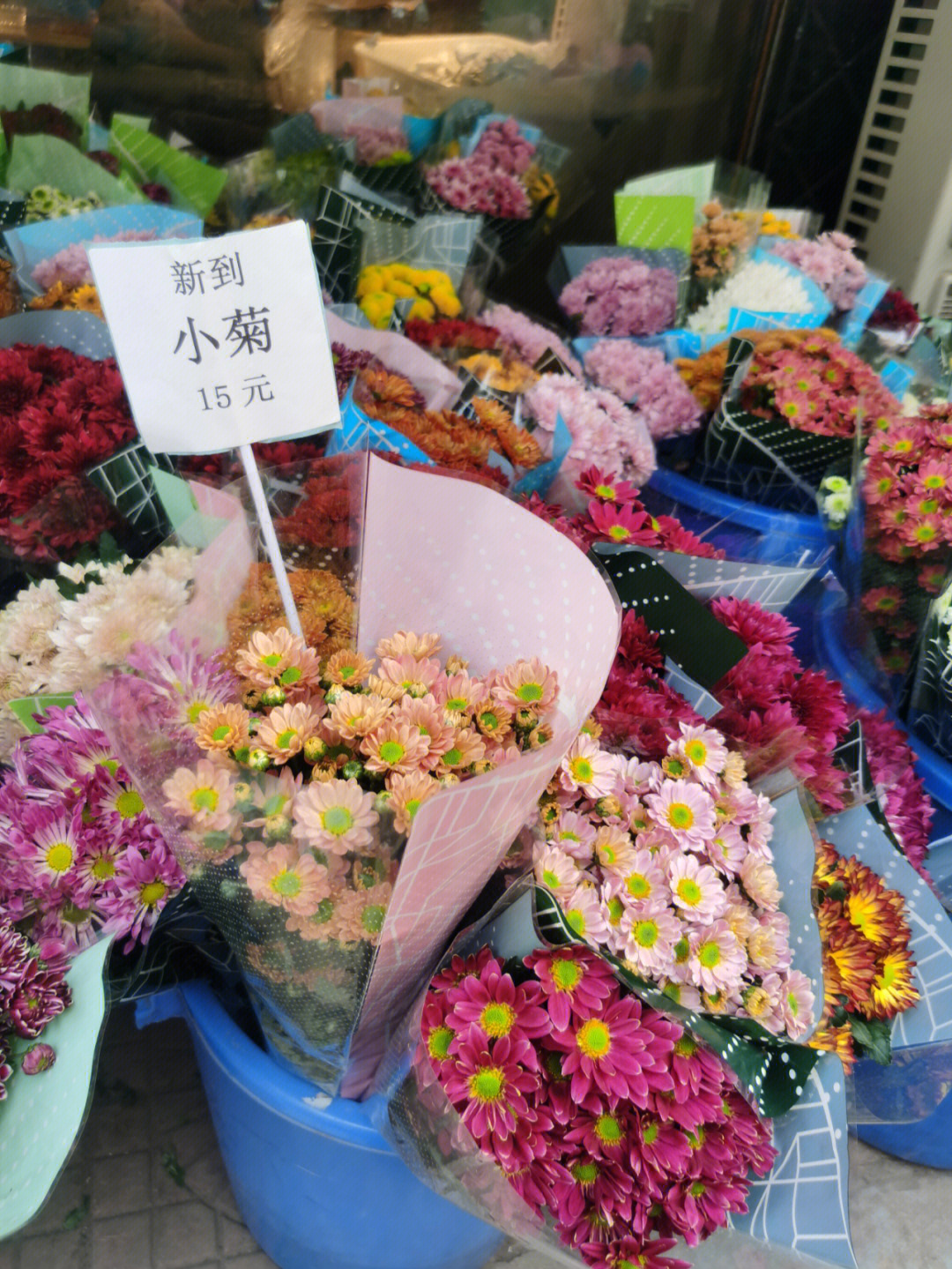 西安雁锦花卉市场图片