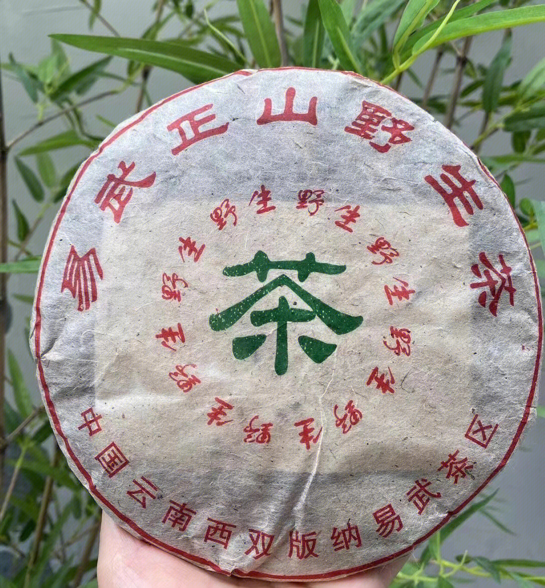 易武正山古树茶特点图片