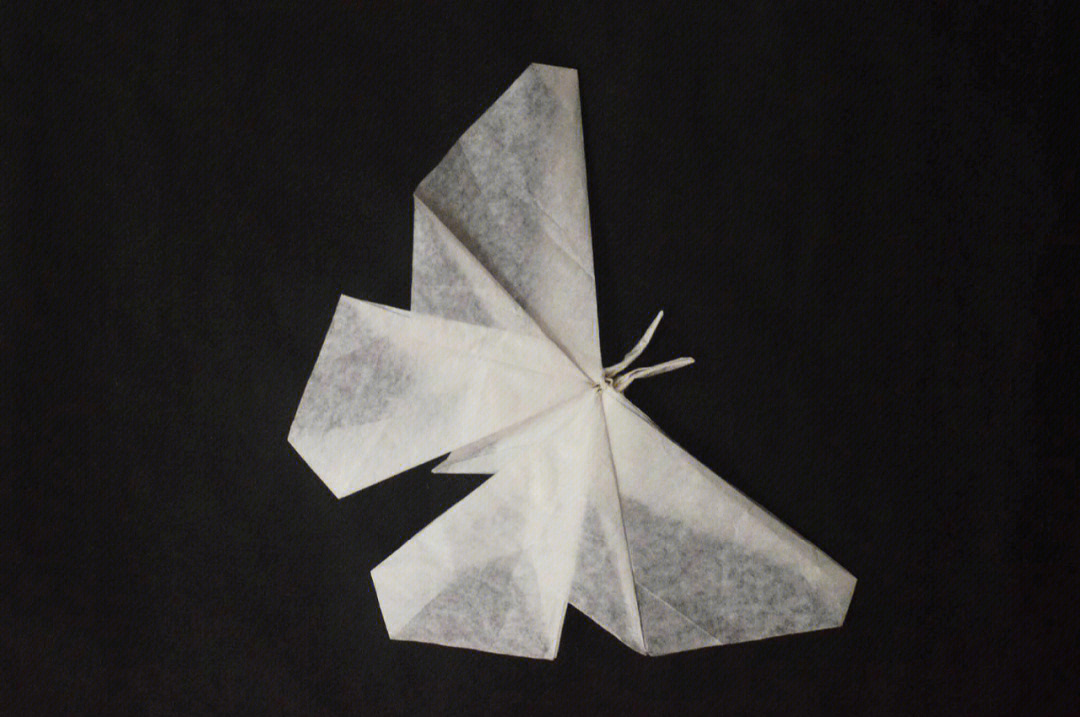 抖音蝴蝶折纸图片