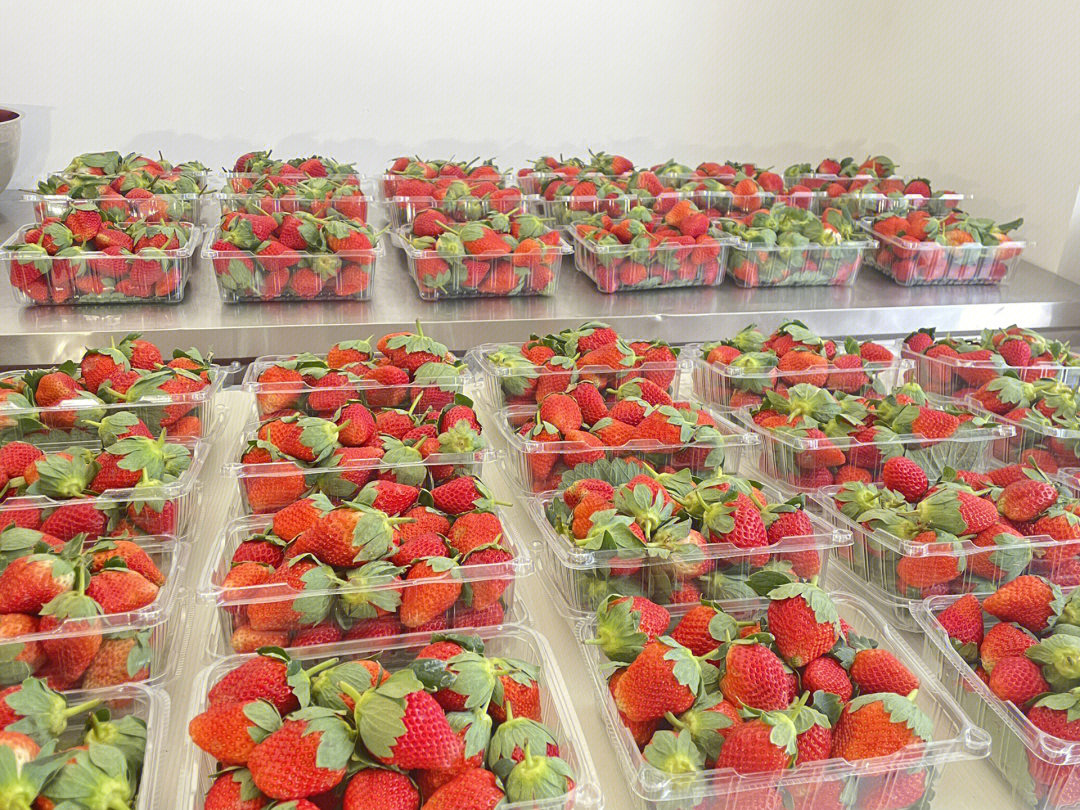 西乡塘草莓团购每天都是新鲜到货