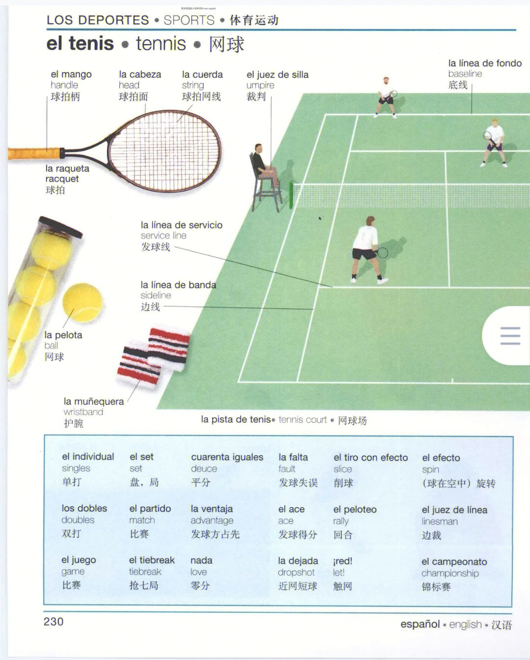 笼式网球规则图片