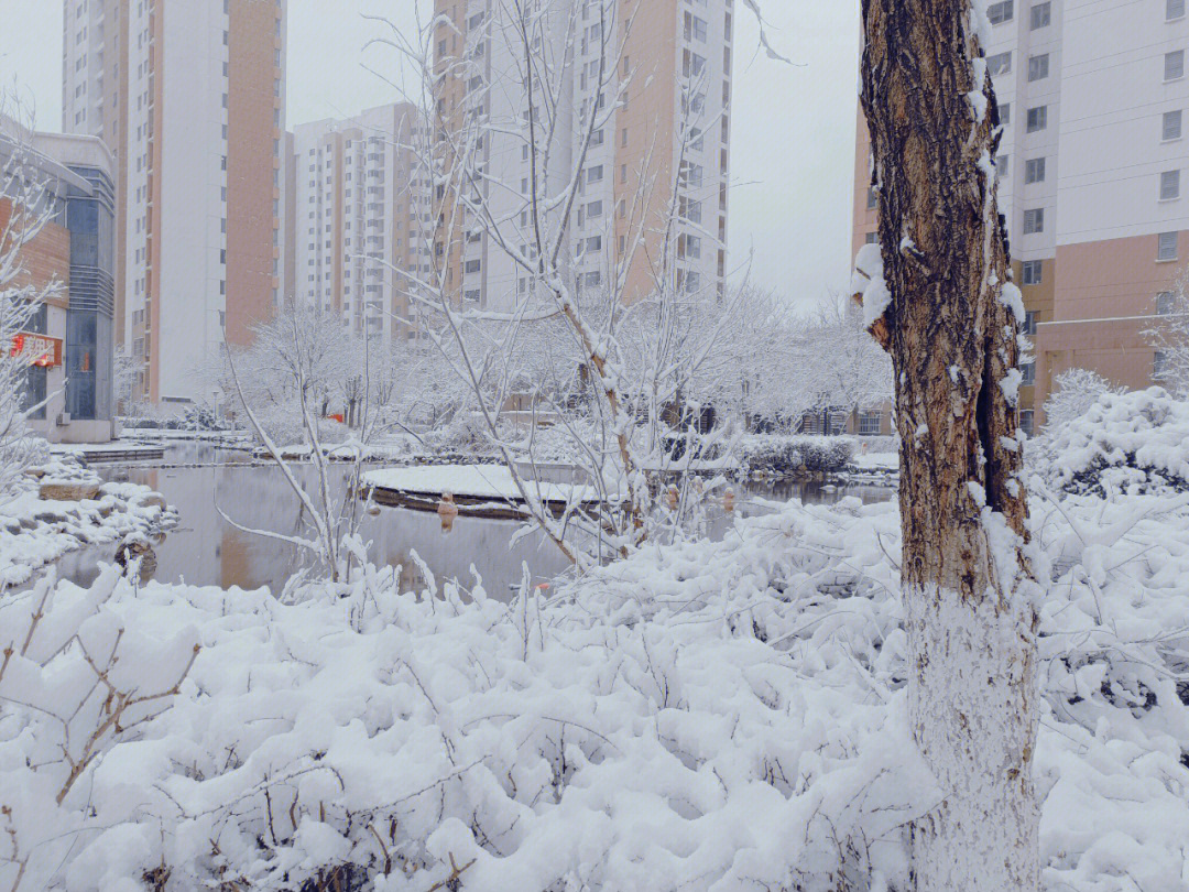 2022年天津雪景图片图片