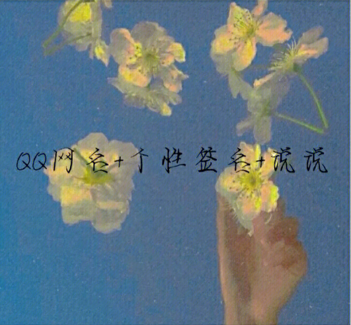 qq网名个性签名说说二