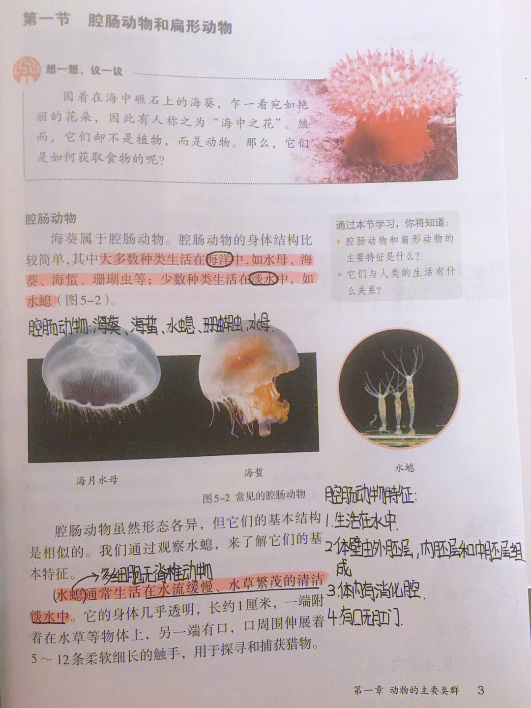 初二上册生物笔记图片图片