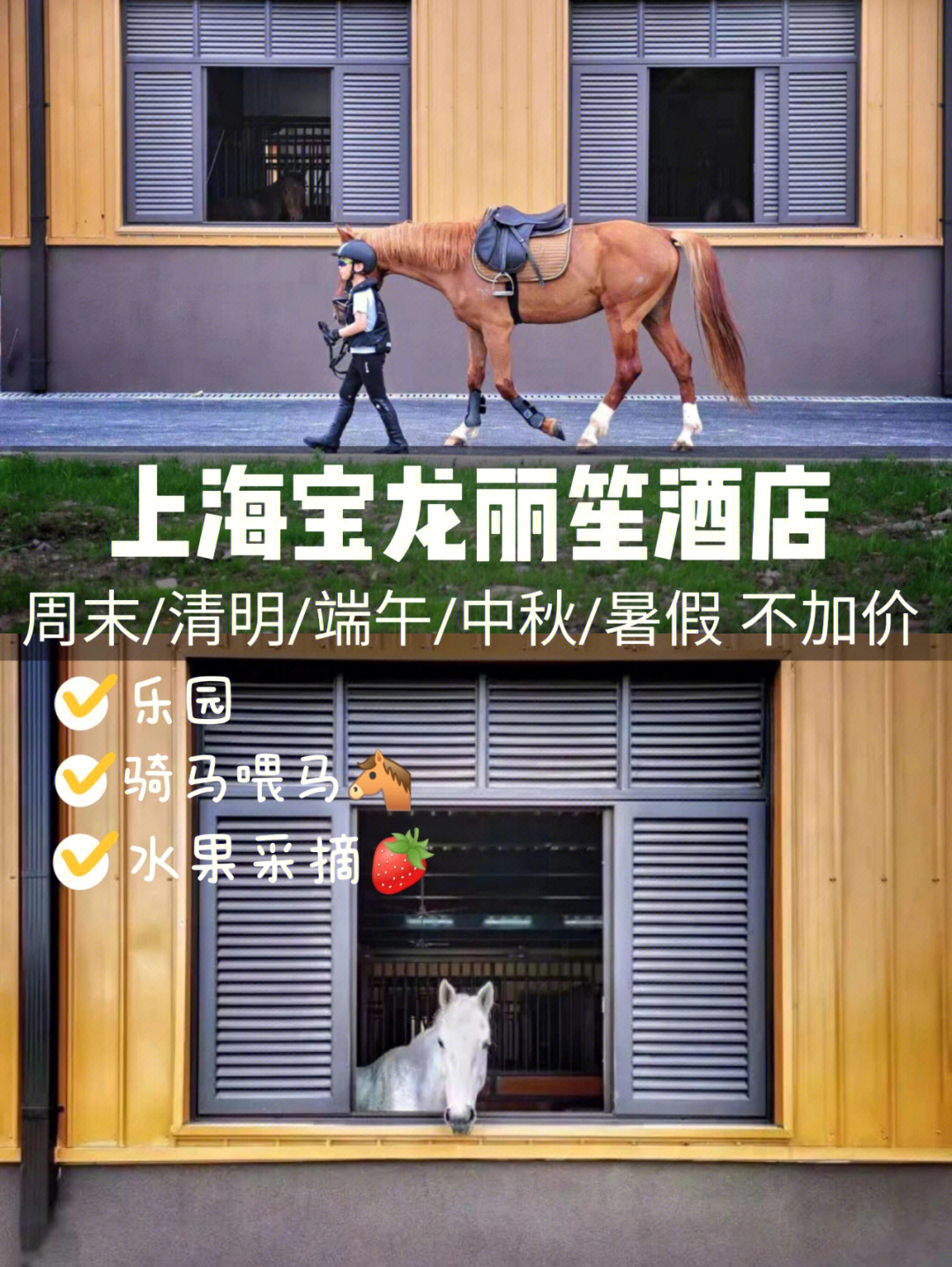 一站式遛娃骑马采摘上海宝龙丽笙酒店