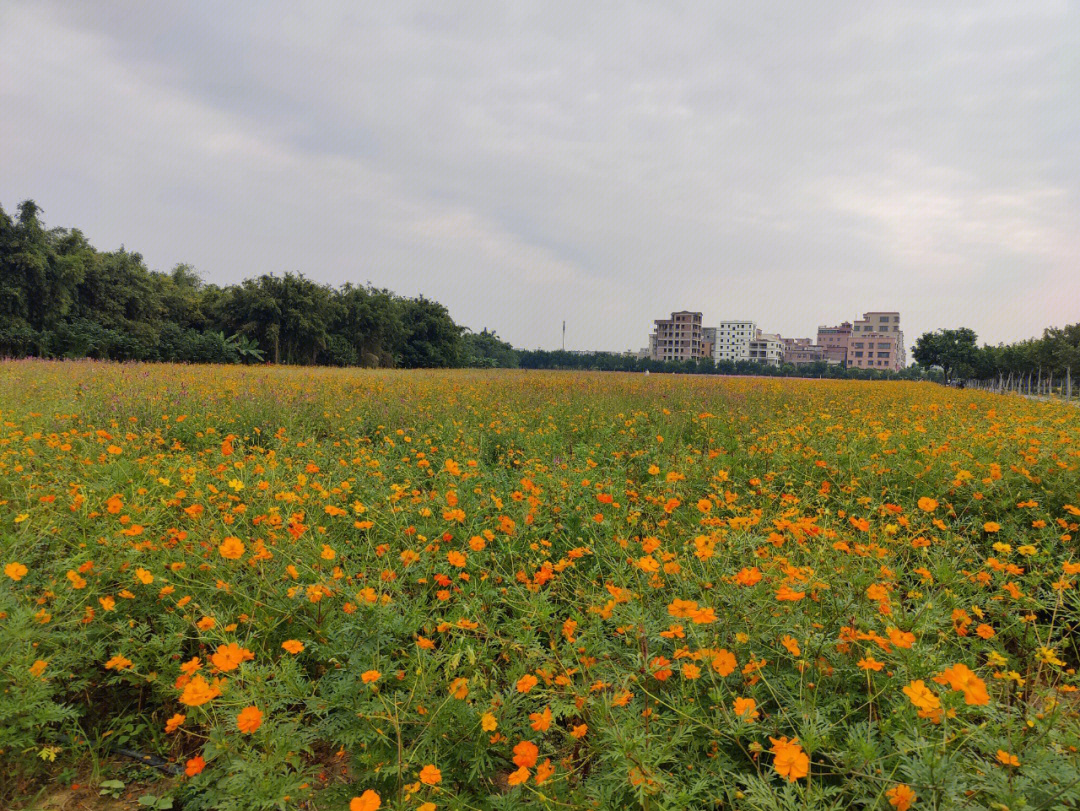 广州花都湿地公园