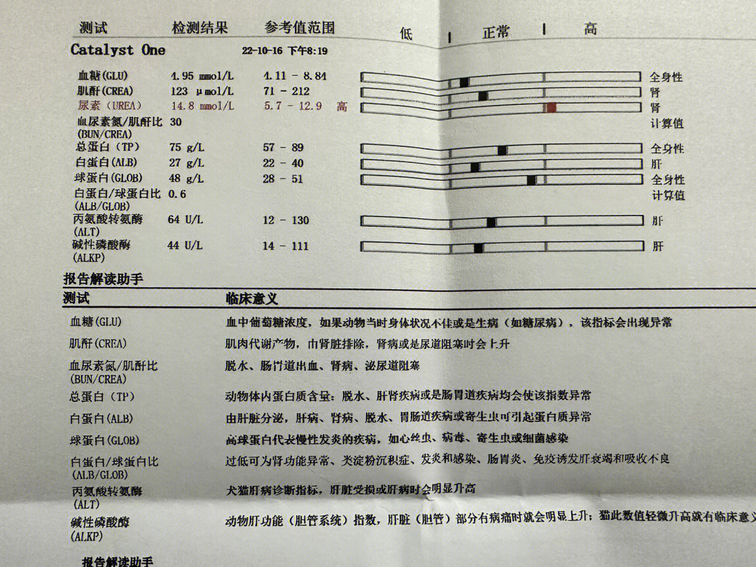 免疫球蛋白指标图片