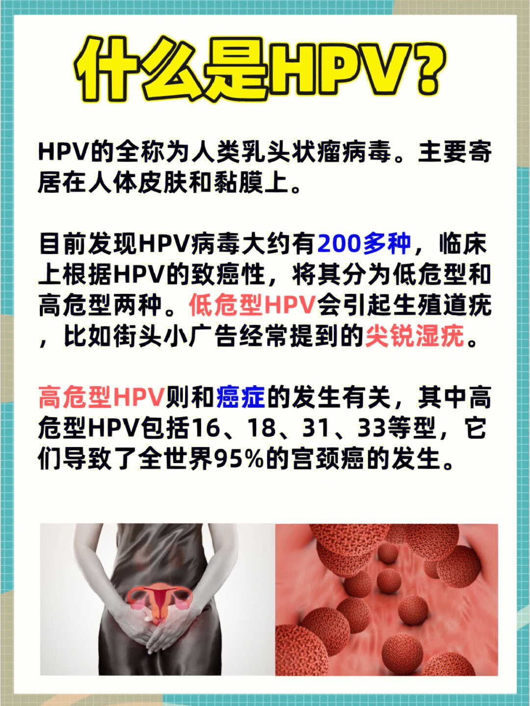 [向右r]hpv的全称为人类乳头状瘤病毒主要寄居在人体皮肤和黏膜上