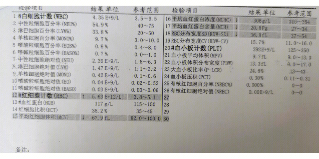 地中海贫血正常图片