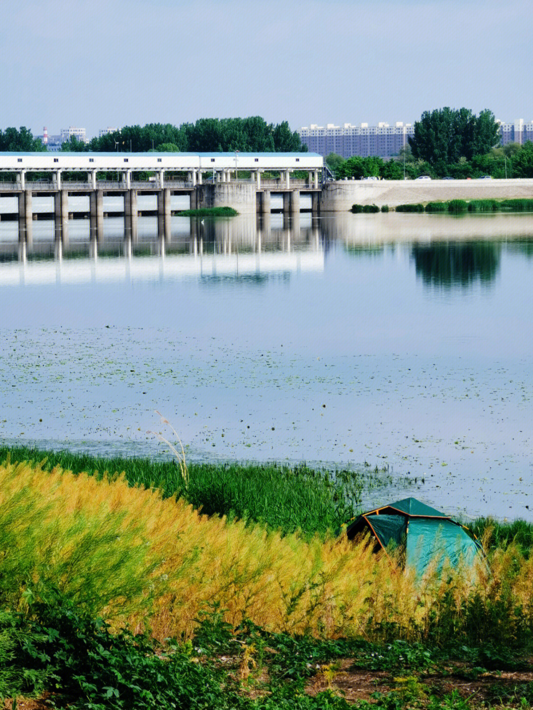 昌平沙河湿地公园规划图片