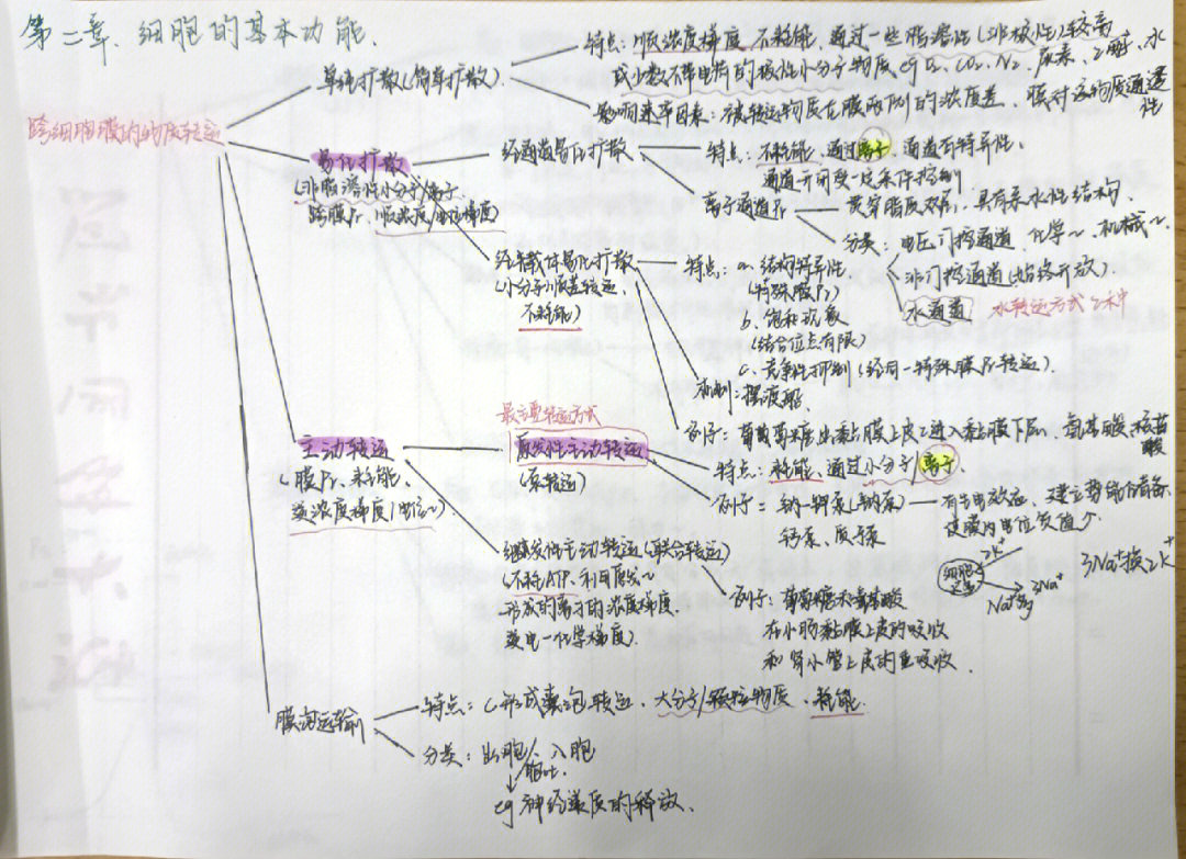 生理学思维导图第二章图片