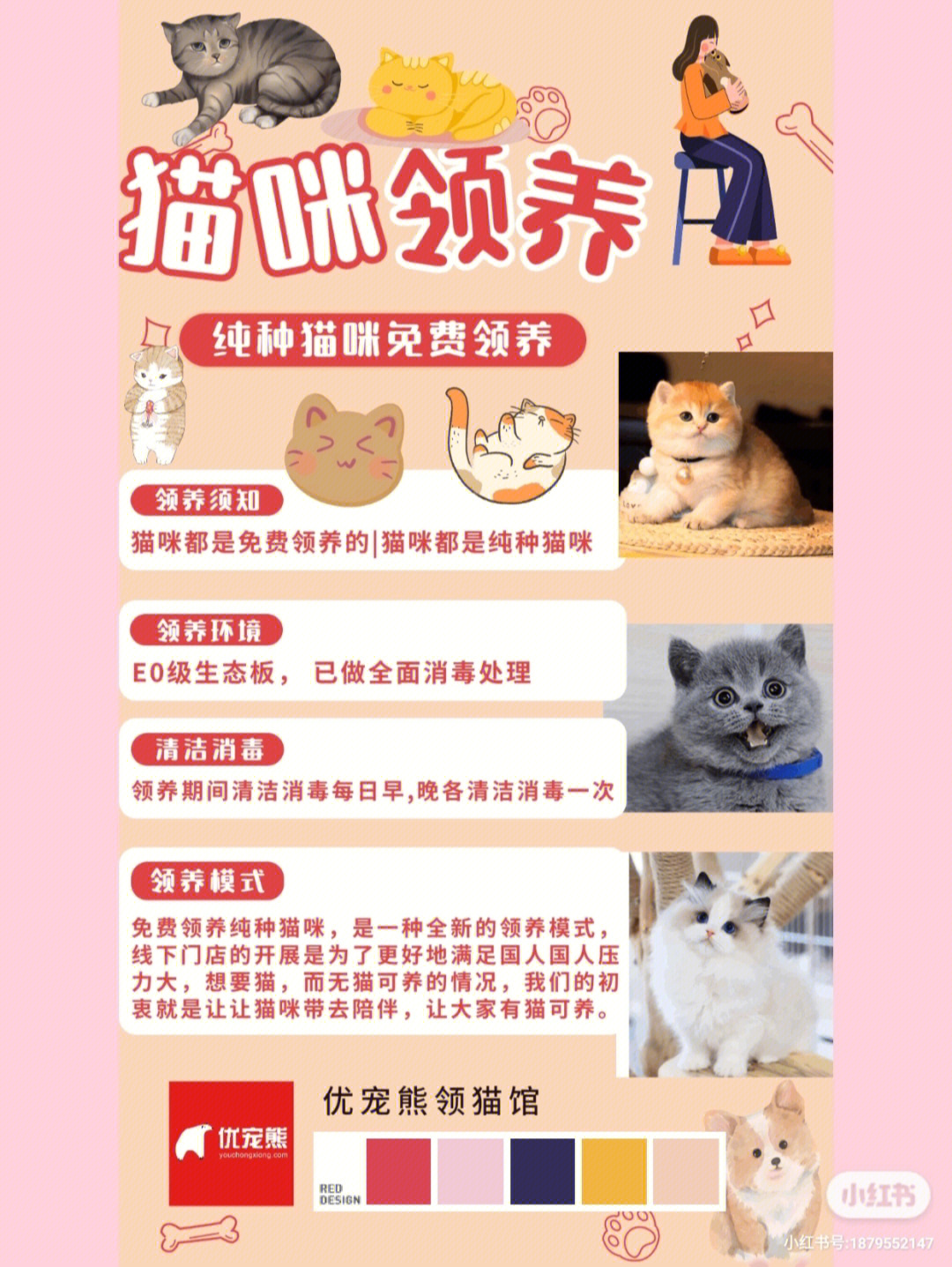 关于公益无偿免费领养纯种猫咪