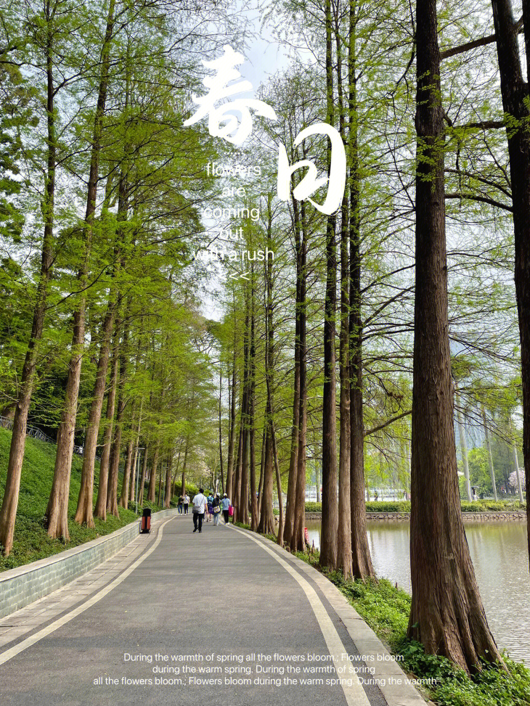 广州相亲角公园图片