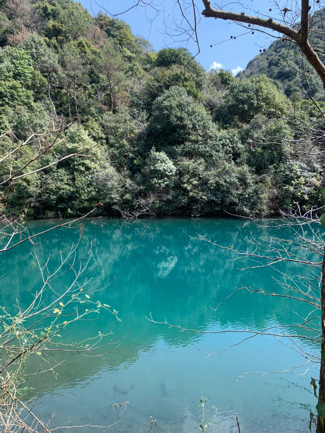 倒爬岭古道图片