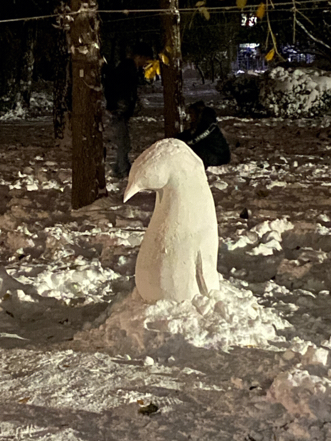 晚上堆雪人图片 实景图片