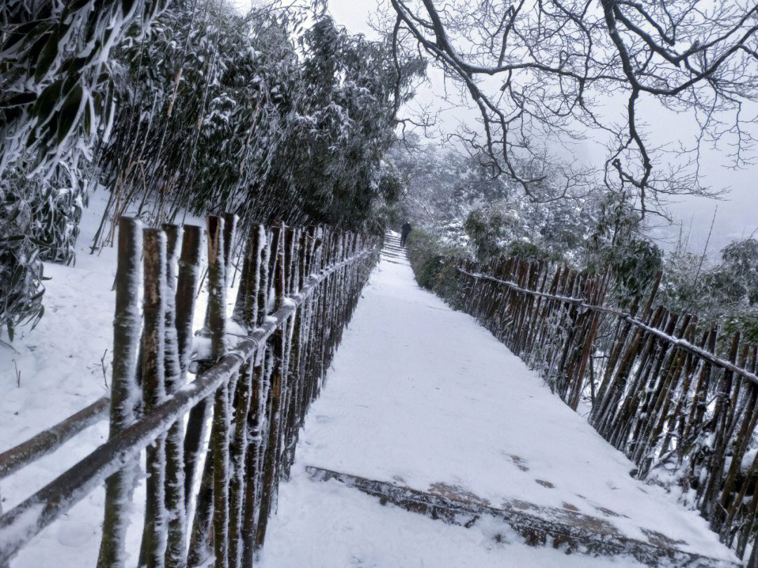 金鸡山下雪图片