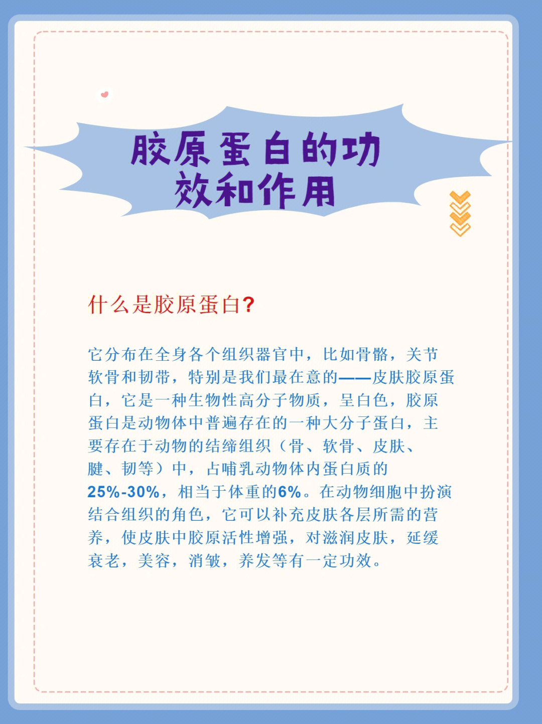 干货60你想了解的胶原蛋白知识都在这606060