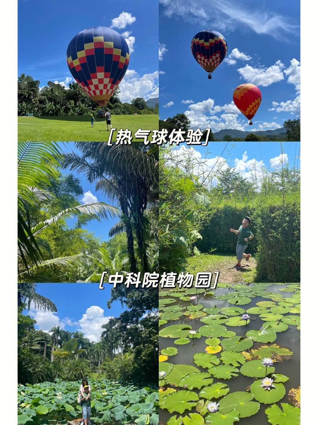 云南中科院植物园简介图片