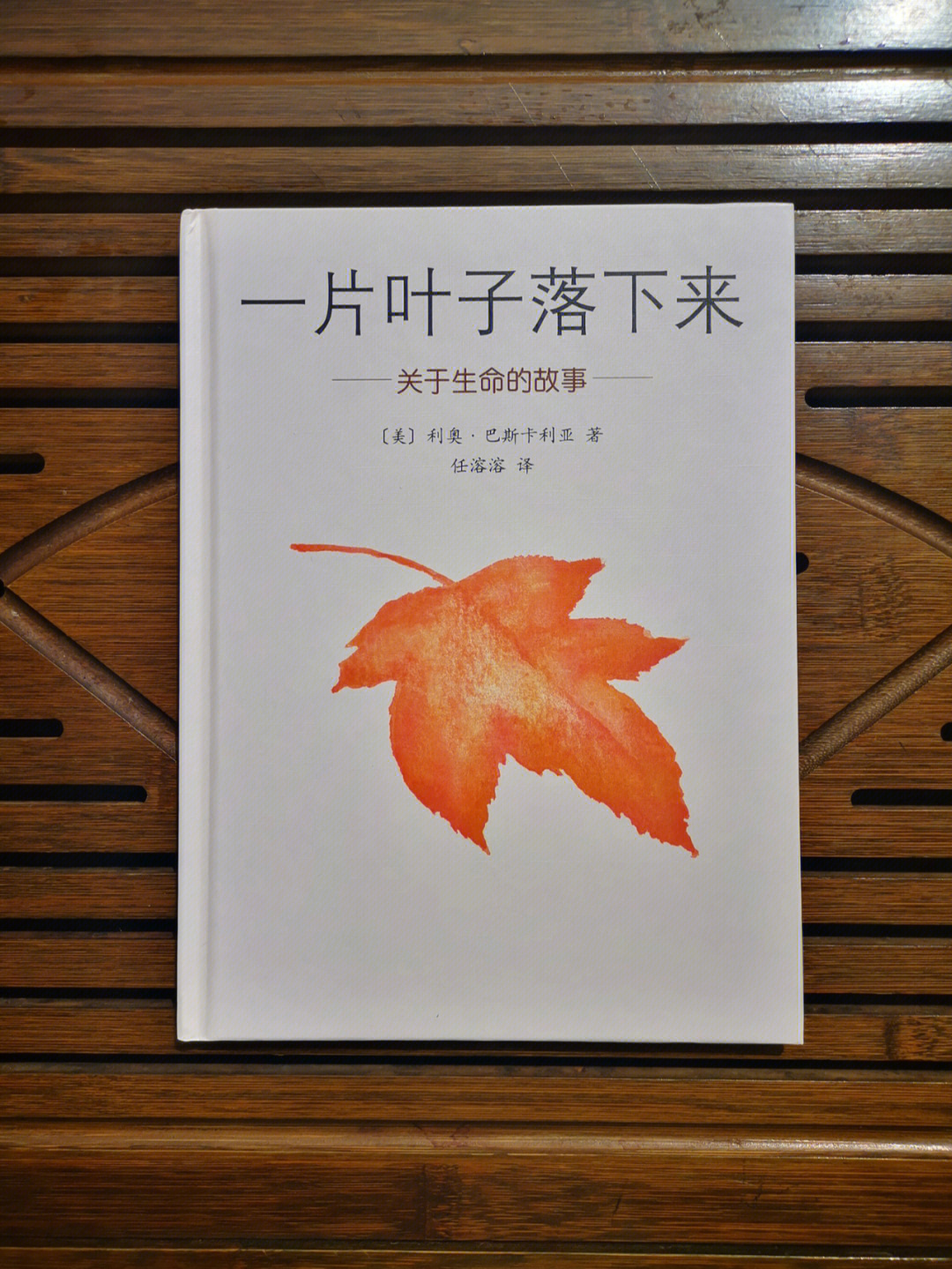 一片叶子绘本完整图片图片