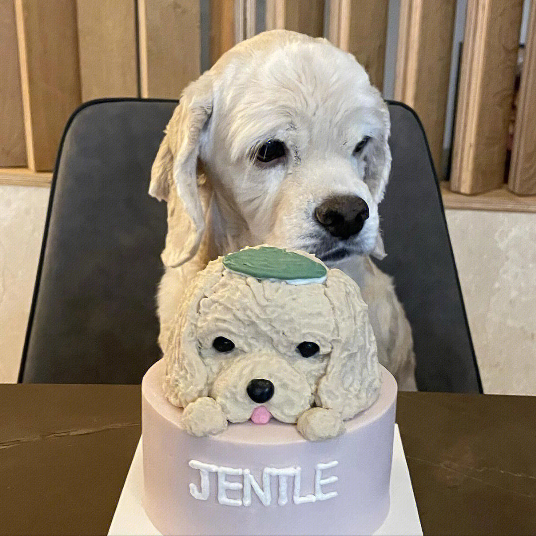 jennie的狗狗品种图片