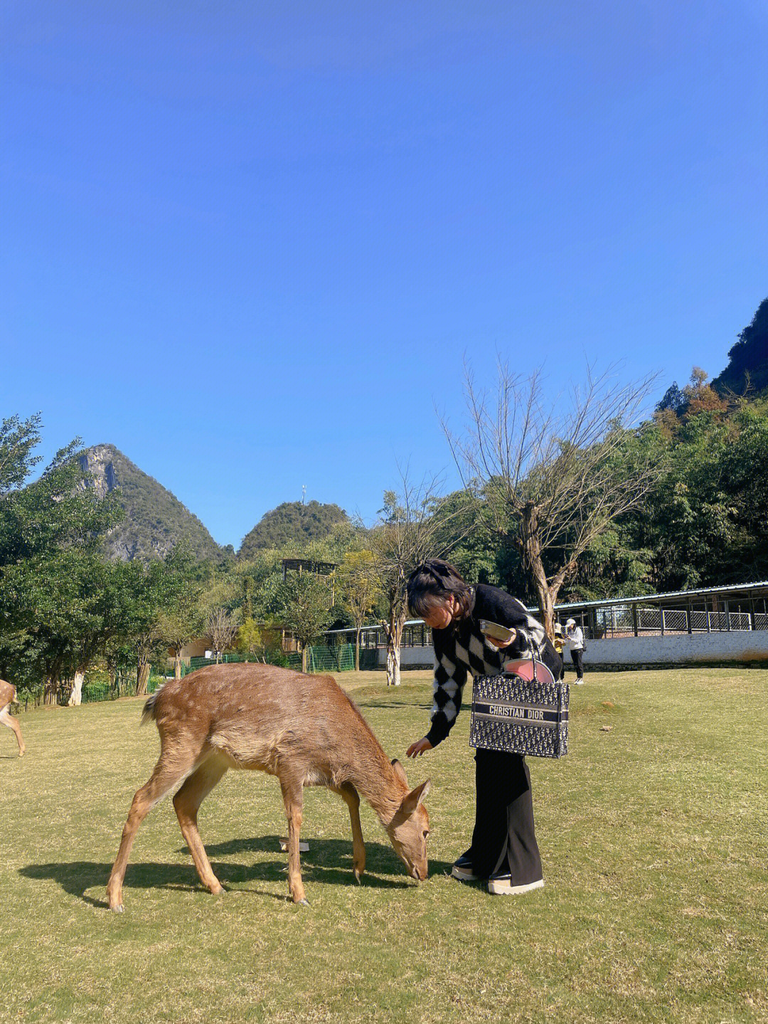 鹿寨鹿鸣谷公园电话图片