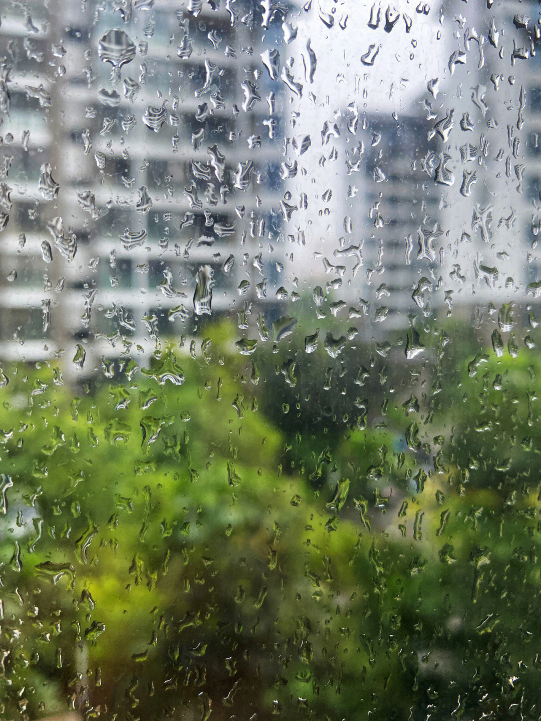 惬意的下雨天,饮饮茶,听听音乐……