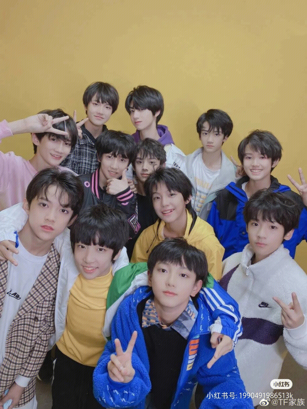 tf家族三代