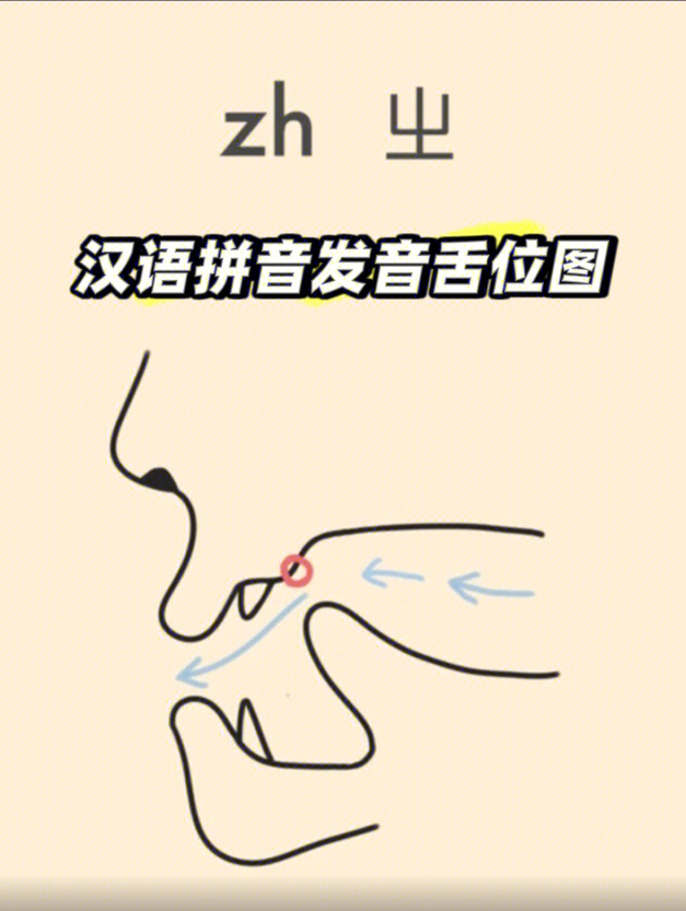 现代汉语舌位图发音图片