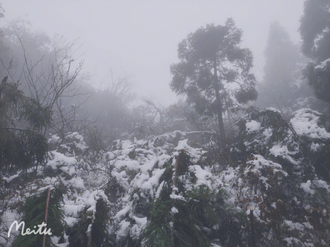 梅岭雪图片