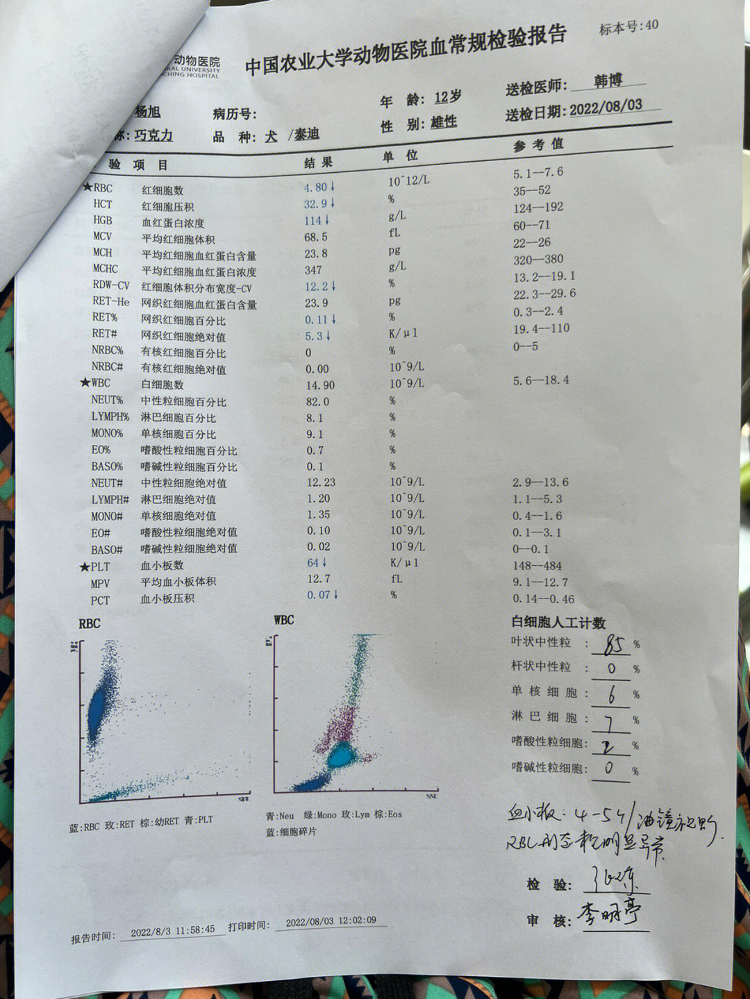 肾图检查费用图片