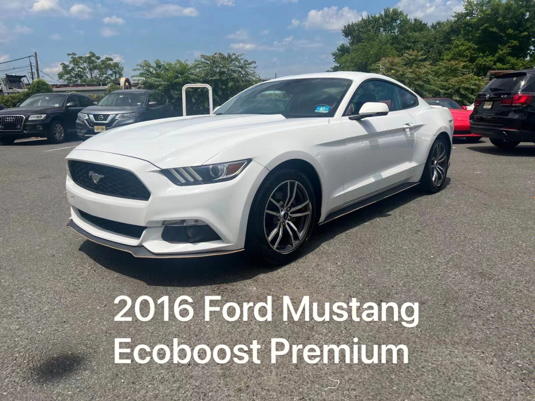 07联邦汽车现车推荐2016 ford mustang ecoboost premium7415