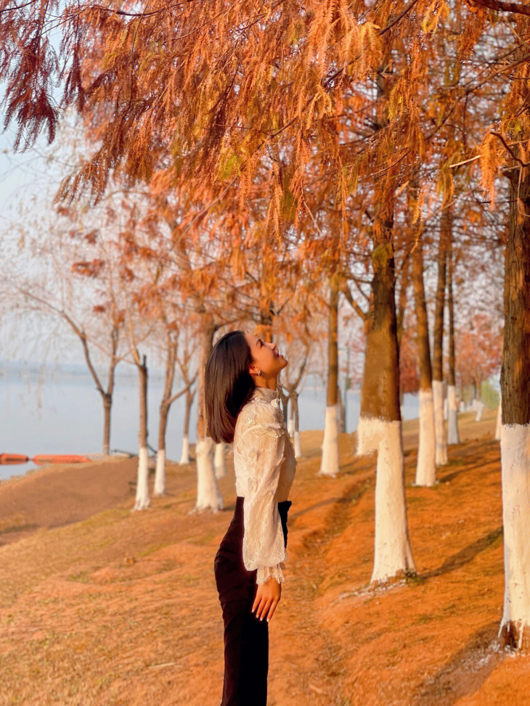 长沙拍照野餐必去松雅湖红杉林也太美了