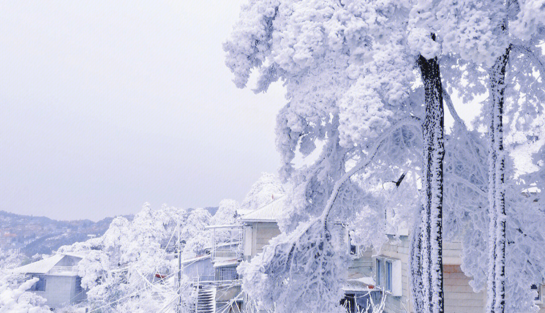 等了庐山一年的雪景,不知道你身边的他/她有没有分享此次的浪漫