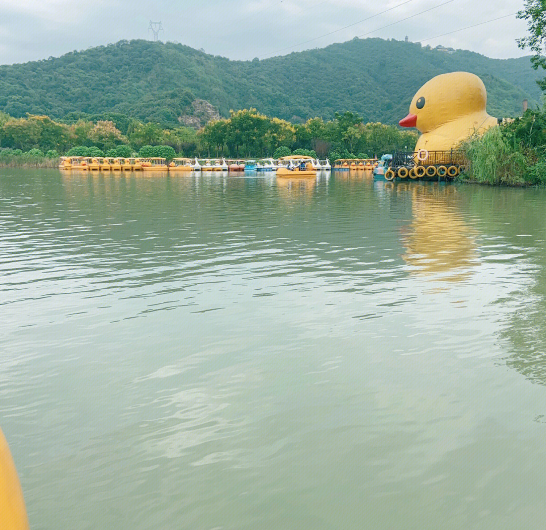 哥俩杭州湘湖大黄鸭乐园半日游