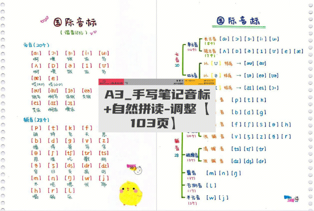 a3手写笔记音标自然拼读调整103页