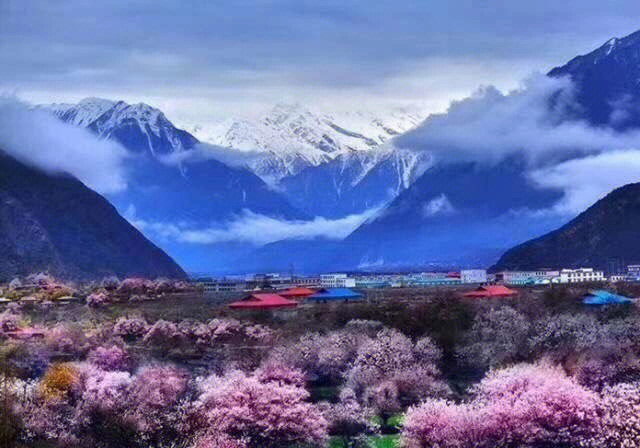 318川藏线上不止林芝有桃花