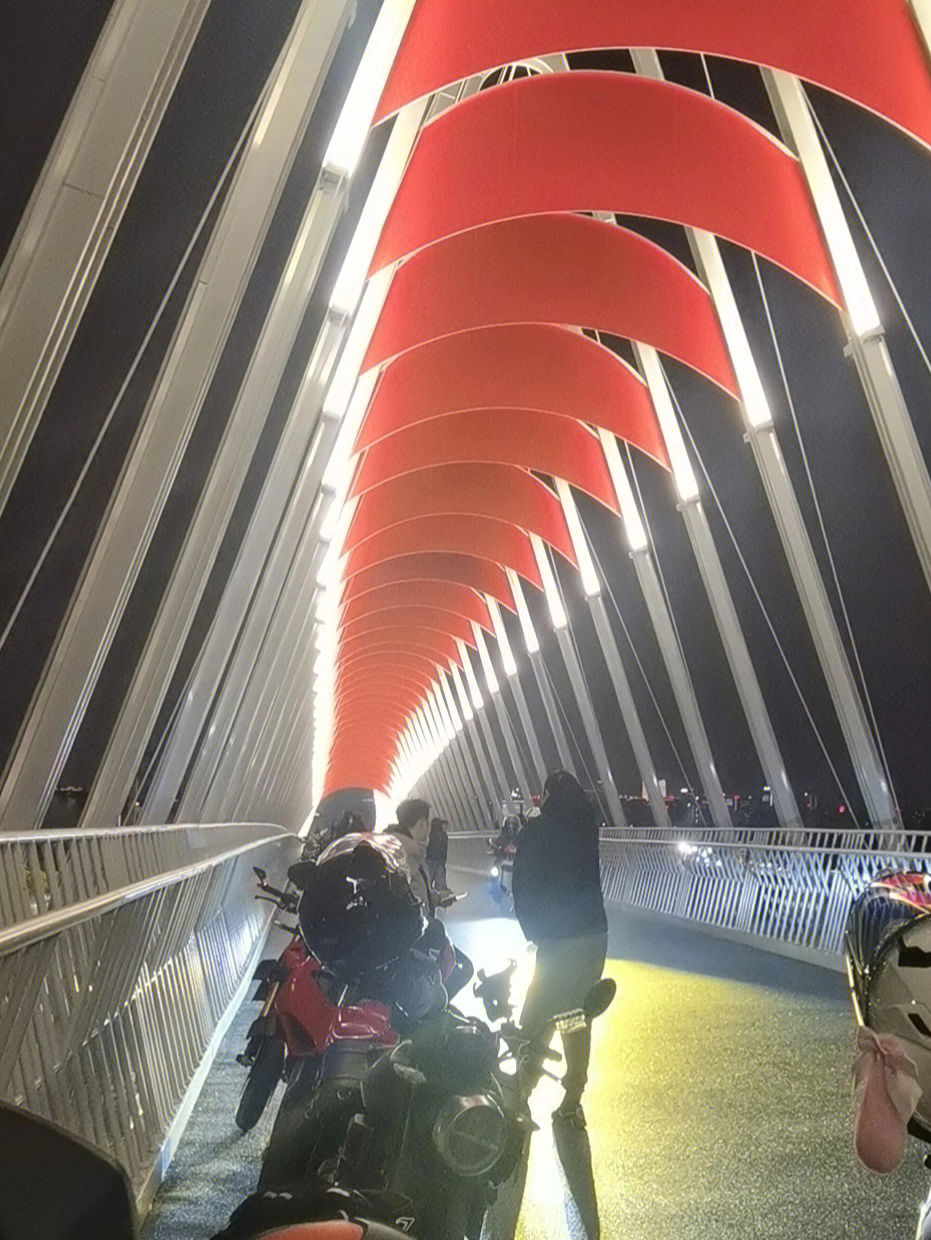 汤山公园网红桥图片
