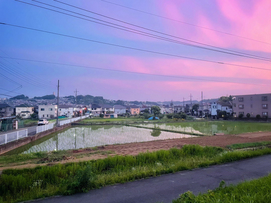 多摩川大学图片